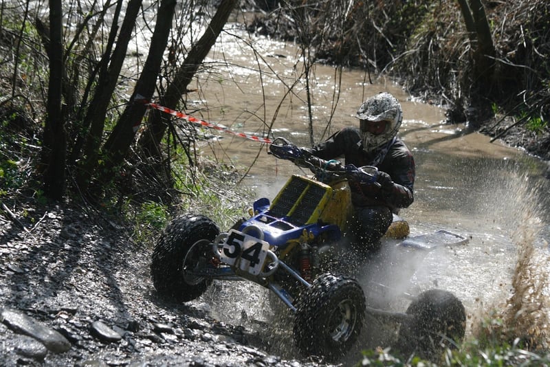 Banshee Image