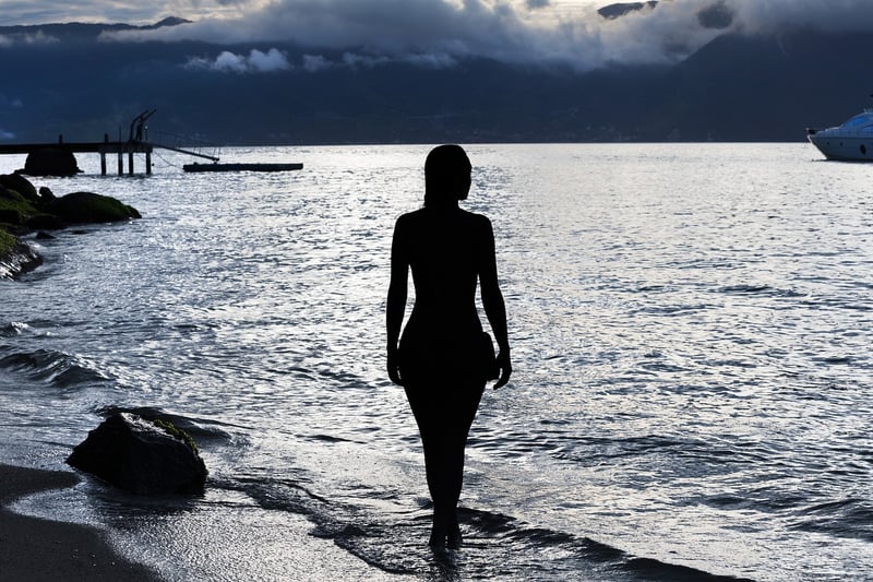 Silhouette in the mist